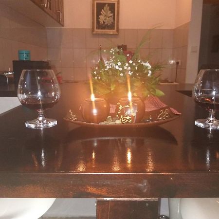 Apartmán Apartman Nv Vrnjačka Banja Exteriér fotografie