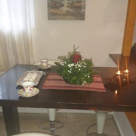 Apartmán Apartman Nv Vrnjačka Banja Exteriér fotografie