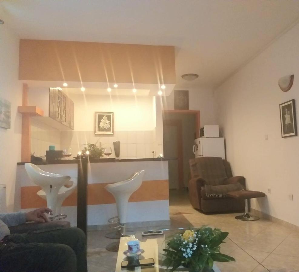 Apartmán Apartman Nv Vrnjačka Banja Exteriér fotografie