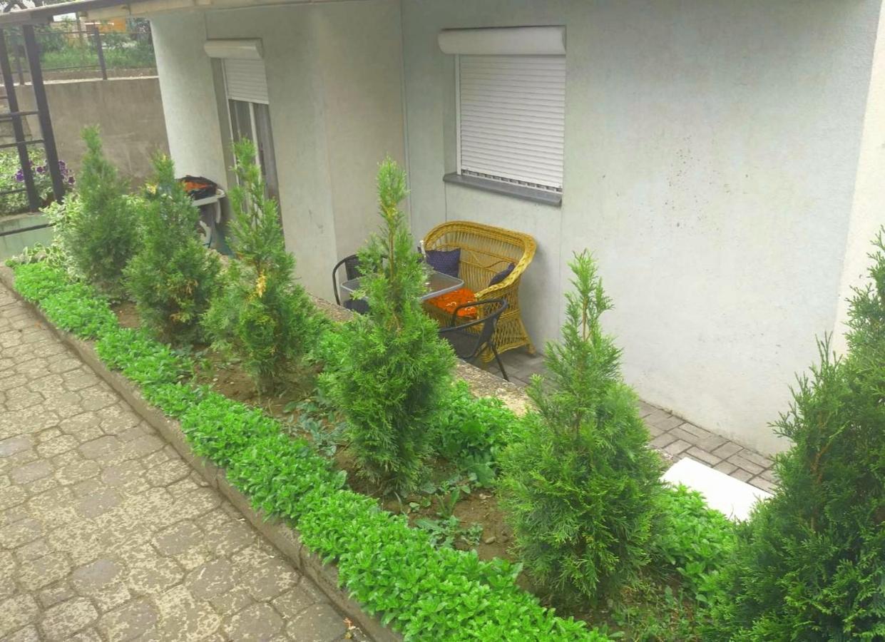 Apartmán Apartman Nv Vrnjačka Banja Exteriér fotografie