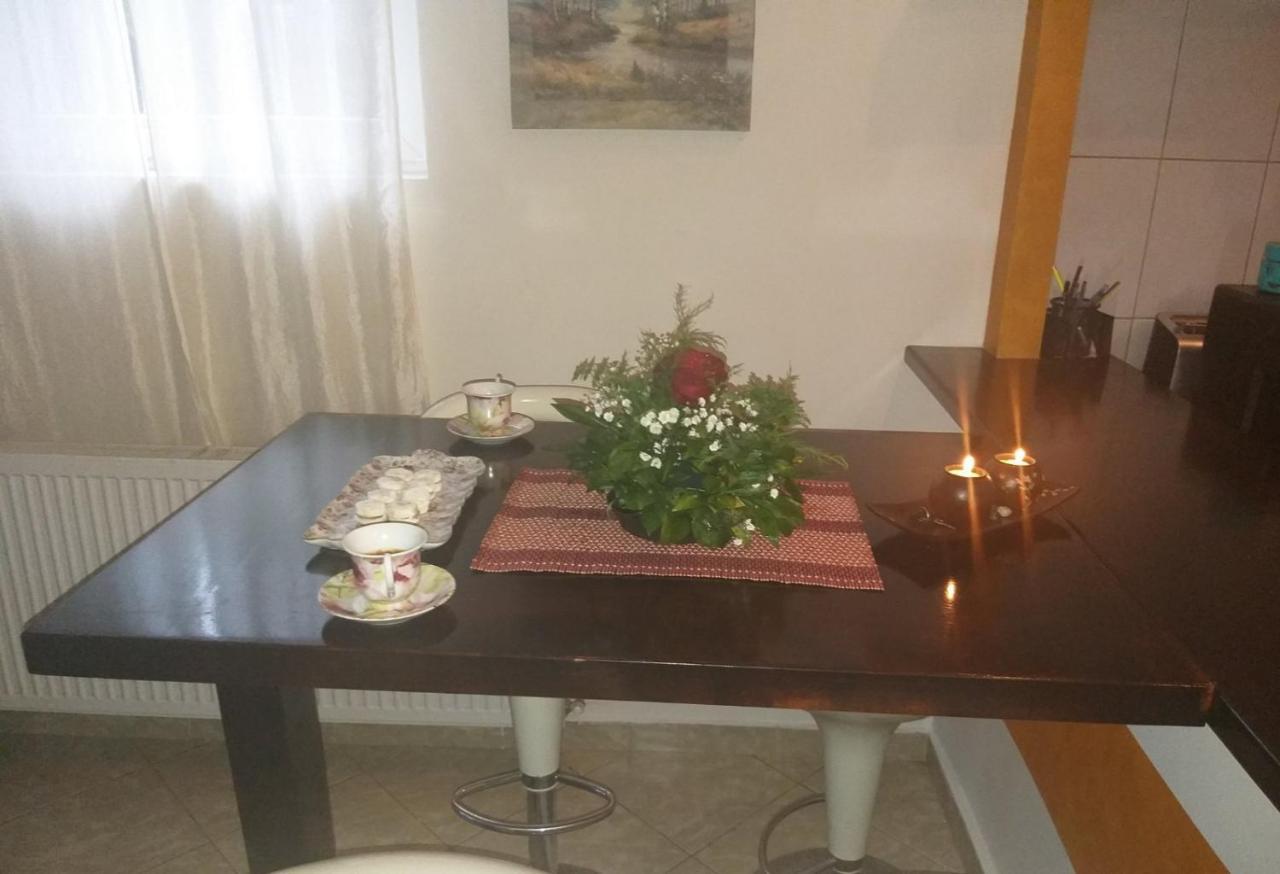 Apartmán Apartman Nv Vrnjačka Banja Exteriér fotografie