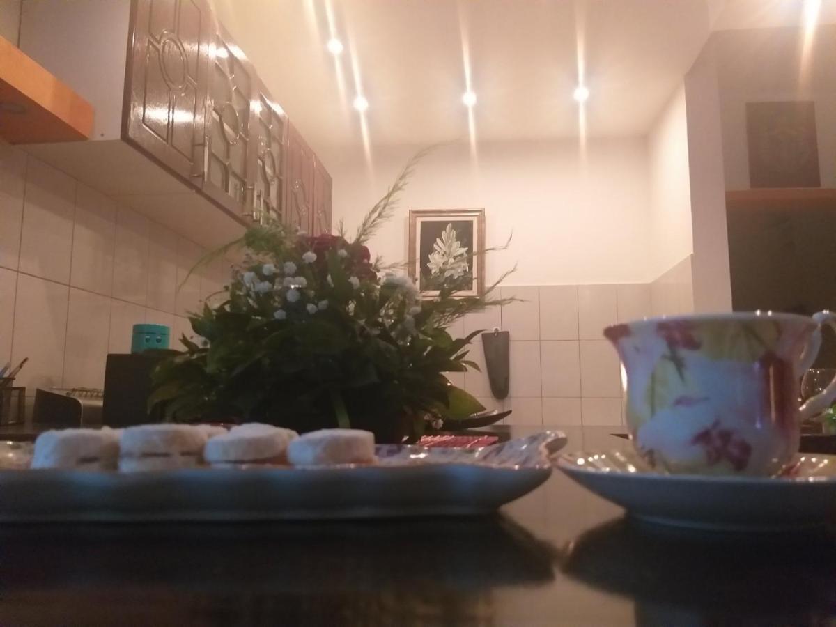 Apartmán Apartman Nv Vrnjačka Banja Exteriér fotografie
