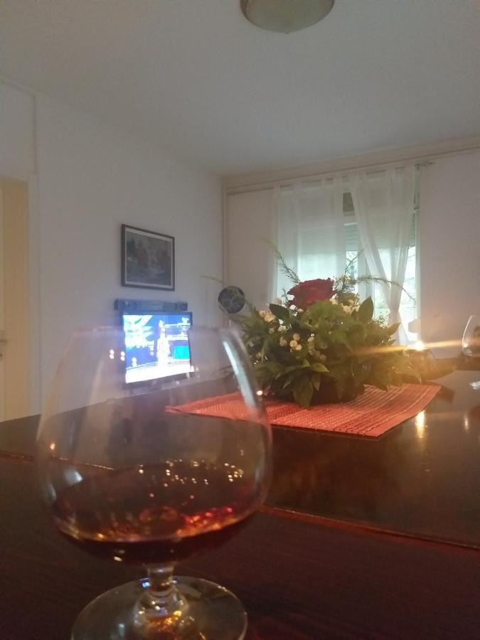Apartmán Apartman Nv Vrnjačka Banja Exteriér fotografie