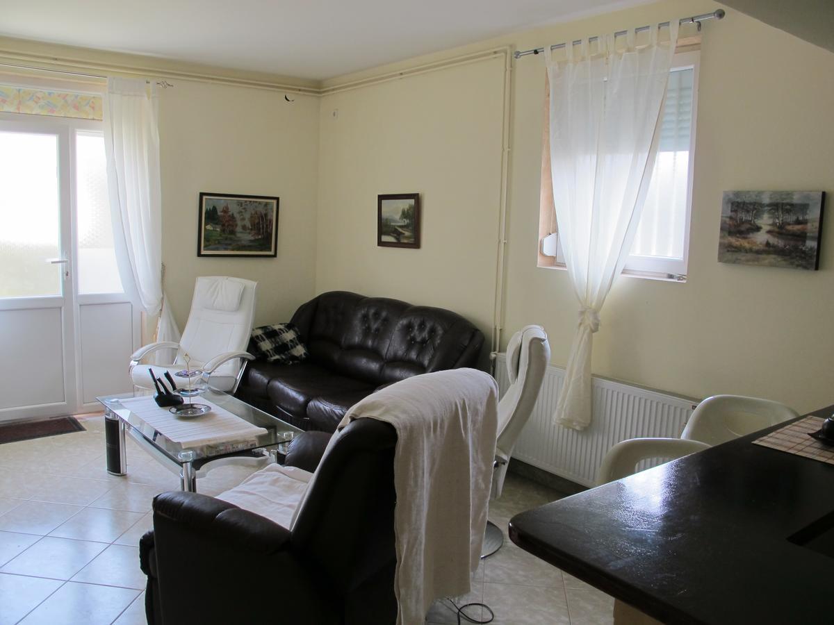 Apartmán Apartman Nv Vrnjačka Banja Exteriér fotografie